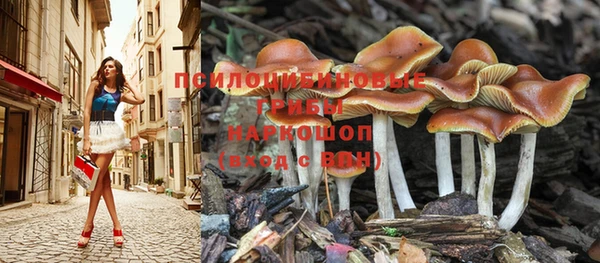 эйфоретик Алексин