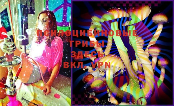 ГАЛЛЮЦИНОГЕННЫЕ ГРИБЫ Наволоки